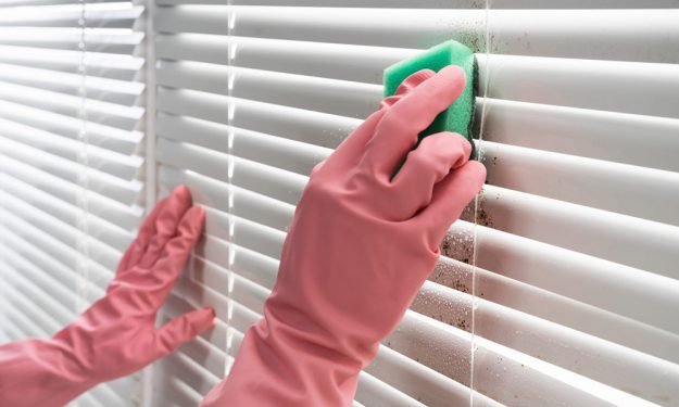 5 Comprehensive Tips to Cleaning Window Blinds & Shades 5 Comprehensive Tips to Cleaning Window Blinds & Shades